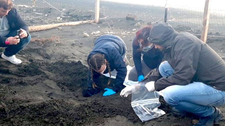 Sono 68 le tartarughine caretta caretta che hanno preso il largo da Campo di Mare