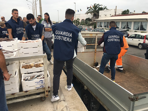 Civitavecchia, sequestrati 300 chili di pesce destinati ai ristoranti etnici di Monterotondo
