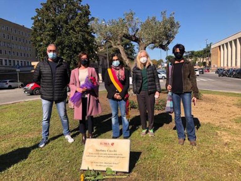 Vicenda Cucchi, piantato un albero in sua memoria davanti l’Università La Sapienza