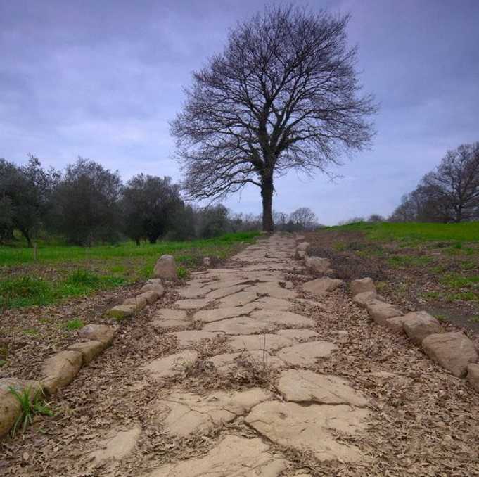 La Strada dei Sapori e della Cultura dell’Antica Via Clodia al Travel Experience 2020 di Rimini