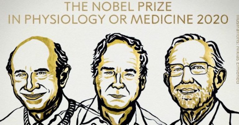 Assegnato il premio Nobel per la Medicina a Harvey Alter, Michael Houghton e Charles Rice per la scoperta dell’Epatite C