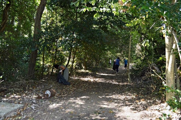 Scuolambiente riporta i ragazzi in mezzo alla natura del bosco di Valcanneto