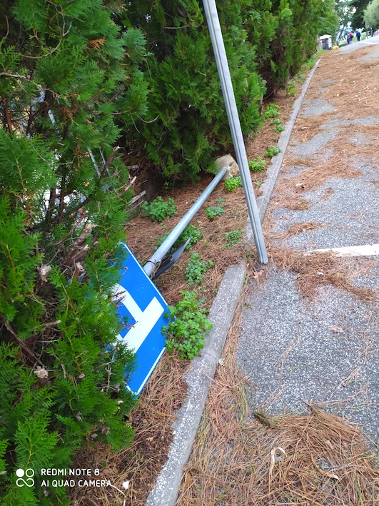 “G. Cena: degrado ai limiti della decenza”