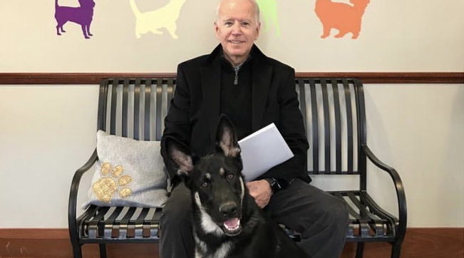 Usa, il neo presidente Joe Biden si è fratturato un piede giocando con un suo cane