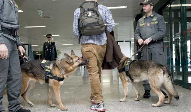 Intercettati all’aeroporto di Fiumicino oltre 18 chili di stupefacenti