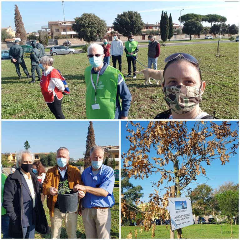 Ladispoli si attiva per gli alberi ed il verde: grande successo della Marcia degli alberi