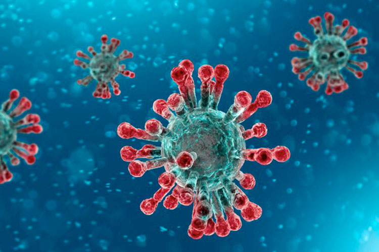 Coronavirus, il Covid sta mutando ma non sembra essere diventato più contagioso per l’uomo