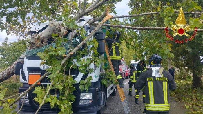 Alto Adige, boscaiolo travolto e ucciso dall’albero che aveva appena abbattuto in Val Badia