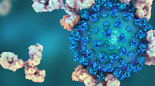 Coronavirus, Sarà tutta per l’Italia la produzione del super-anticorpo monoclonale ‘made in Italy’ contro Covid-19 nel 2021