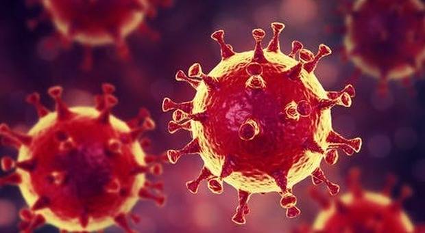 Coronavirus, nel mondo contagiati oltre 58 milioni di persone