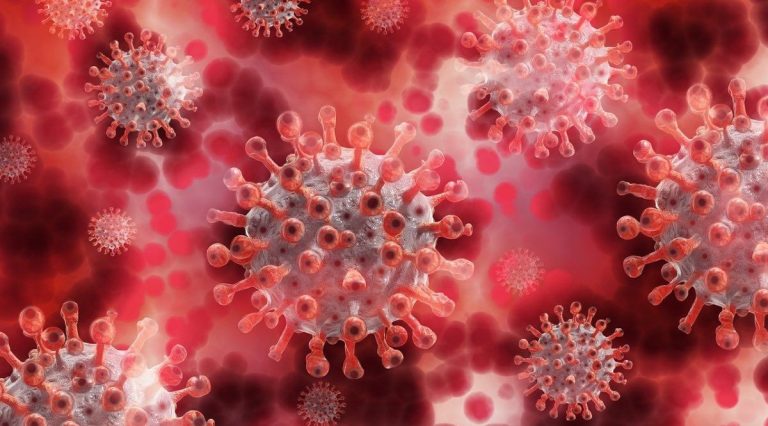 Coronavirus, nel Lazio stabili i contagi. Sale il numero delle terapie intensive e dei decessi