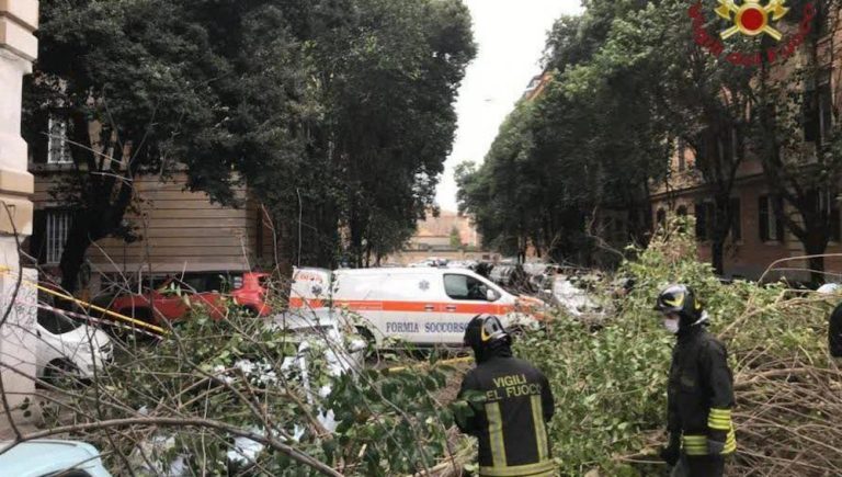 Maltempo, 150 interventi nella Capitale: alberi caduti, ferite due persone