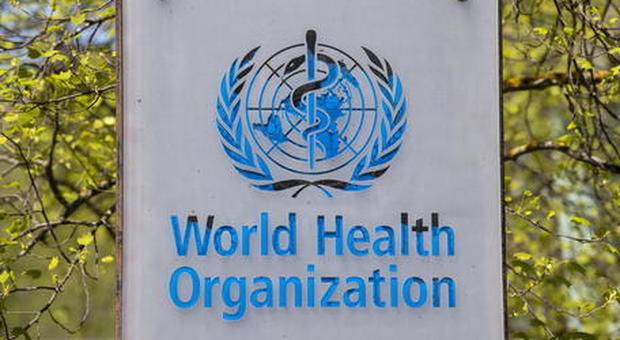 Oms: ictus e tumori, dalla demenza al diabete, le malattie non trasmissibili rappresentano 7 delle 10 principali cause di morte al mondo