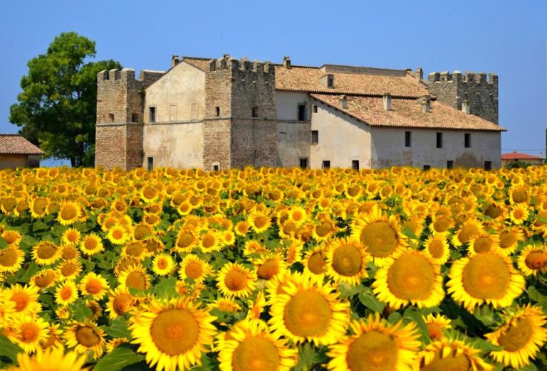 Ladispoli diventa proprietaria del Castellaccio di Monteroni