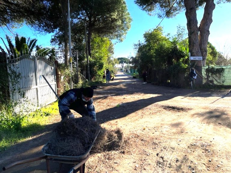 Ladispoli, l’associazione quartiere Olmetto ripulisce la frazione