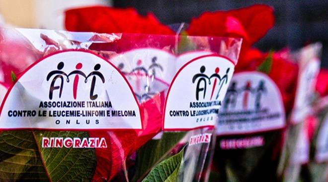 Cerveteri, in Piazza Aldo Moro arrivano le Stelle di Natale di AIL: coloriamo la speranza di chi lotta contro un tumore