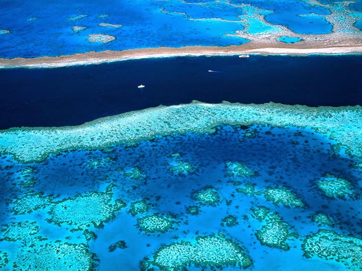 Clima, in Australia aumento di un 1° della temperatura negli ultimi 60 anni: danni alla salute e alla barriera corallina
