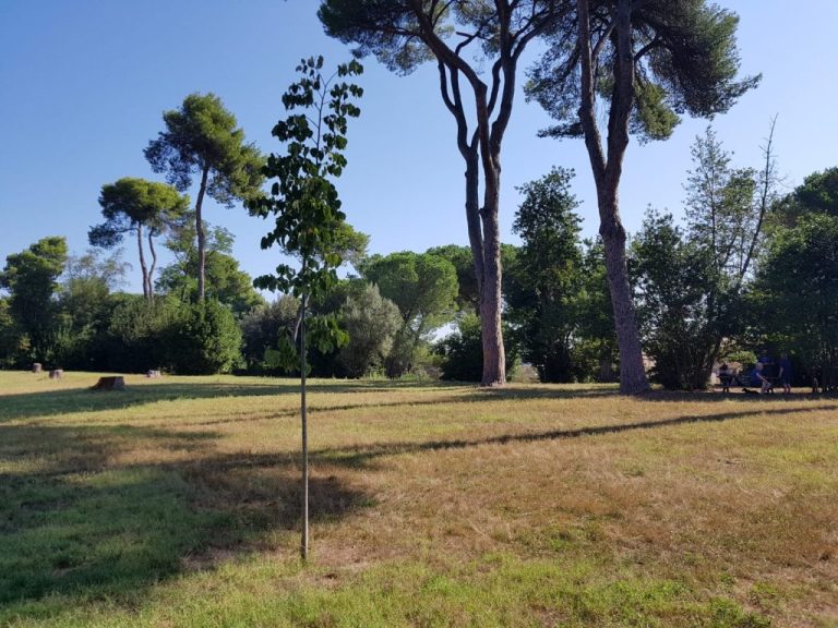 Villa Ada, stanziati 435mila euro per un programma di riforestazione