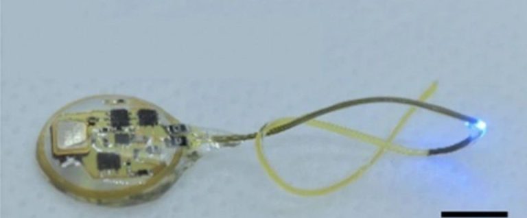 Salute, contro l’obesità è in arrivo un dispositivo wireless per la perdita del peso