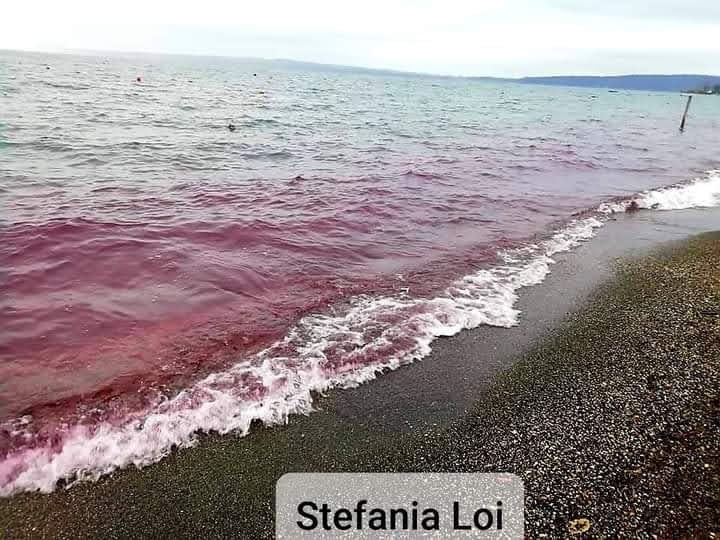 Lago di Bracciano, il mistero dell’acqua rossa