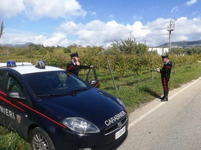 Calabria, denunciati tre imprenditori agricoli: avevano sette lavoratori in nero