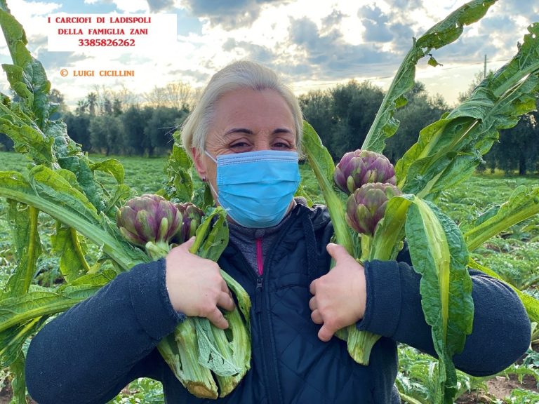 Sagra annullata: le iniziative per sostenere il carciofo della città di Ladispoli