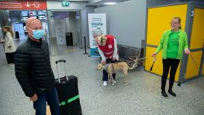 Coronavirus, all’aeroporto di Cuneo operativi i cani anti Covid
