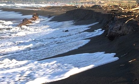 “Ladispoli, le nostre spiagge non riescono più a sopravvivere alle mareggiate”