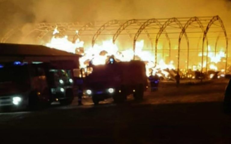 Cerignola (Foggia), incendio in una cooperativa agricola: morto il custode
