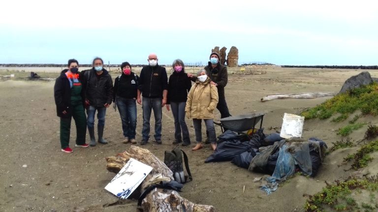 Torre Flavia a Ladispoli: tutti in maschera per pulire le dune del fratino