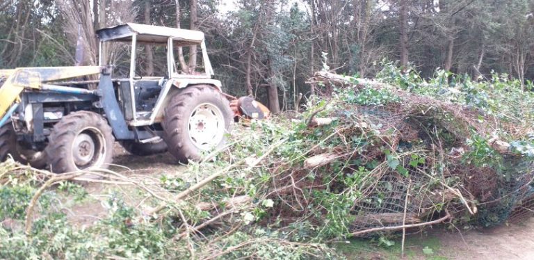 Ladispoli: ripristinata la recinzione del bosco di Palo