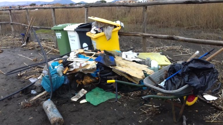Cerveteri: rimosso un quintale di rifiuti dalla Palude di Torre Flavia