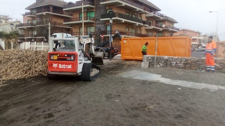 Prosegue la pulizia delle spiagge di Ladispoli