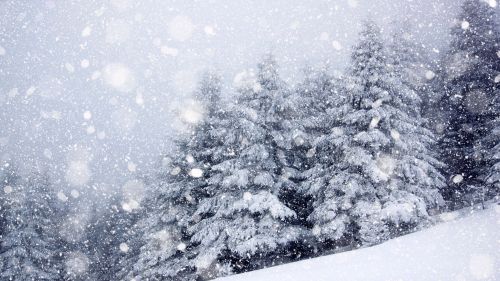 Week end di San Valentino: ecco dove nevicherà