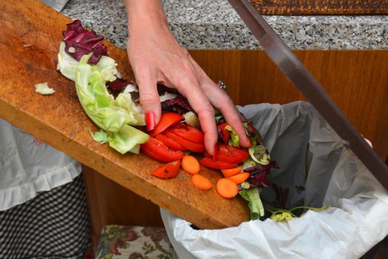 Report di Waste Watcher: nel 2020 In Italia 5,2 milioni di tonnellate di cibo sono finiti nella spazzatura