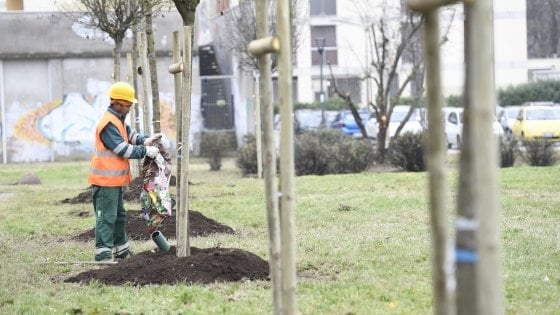 Milano, in arrivo tre milioni di alberi per il capoluogo lombardo