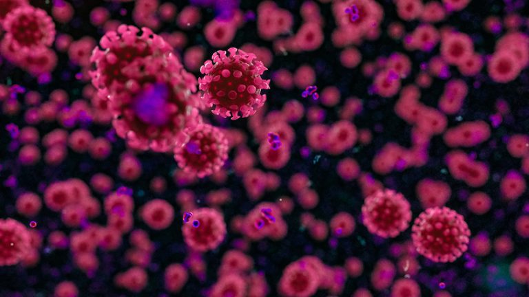 Coronavirus: è possibile intrappolare il virus SarsCoV2 impedendogli di uscire dalle cellule infettate per diffondersi a tutti i tessuti del corpo