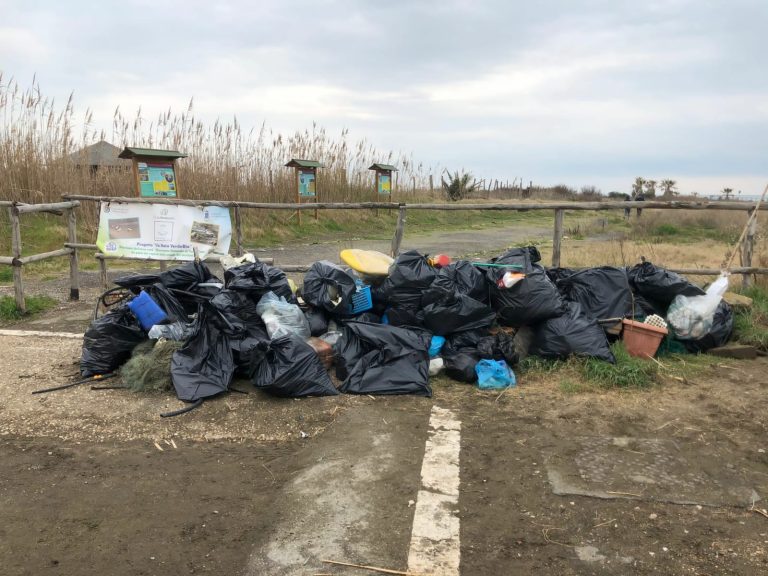 Plastic blitz lungo la spiaggia di Torre Flavia a Campo di Mare