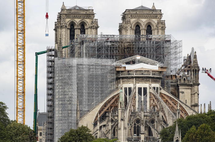 Francia, selezionate prime 8 querce per la ricostruzione di parte della guglia di Notre Dame a Parigi