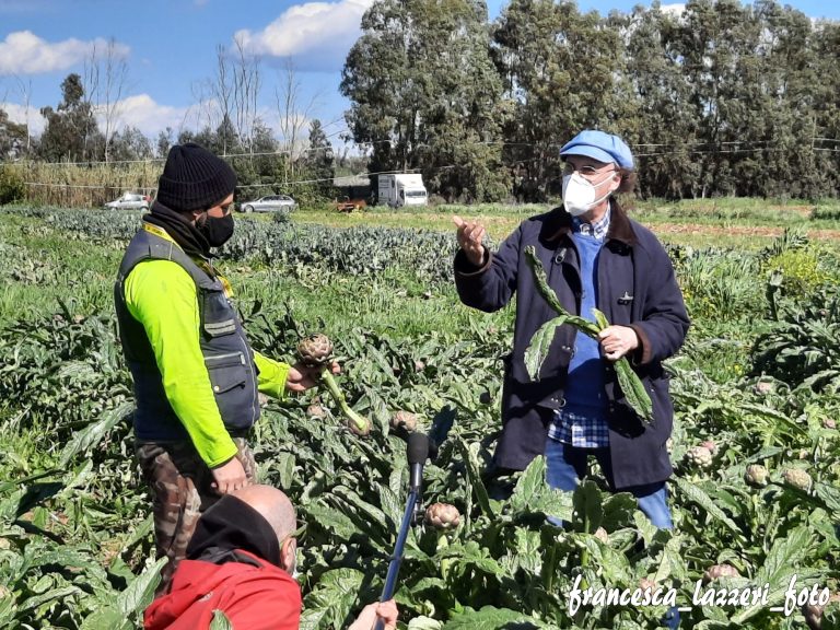 Il Carciofo di Ladispoli arriva a Striscia la Notizia