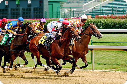 Super week end all’ippodromo delle Capennelle: oggi il trotto e domani il galoppo