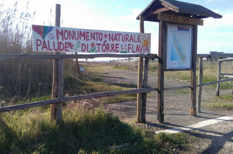 Campo di Mare: chiusi i recinti di Torre Flavia