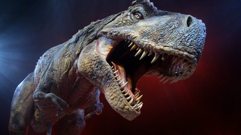 Il censimento dei T-Rex: sono stati 2,5 miliardi in oltre due milioni di anni di dominio sulla Terra. Attualmente gli esemplari conservati nei musei sono 32