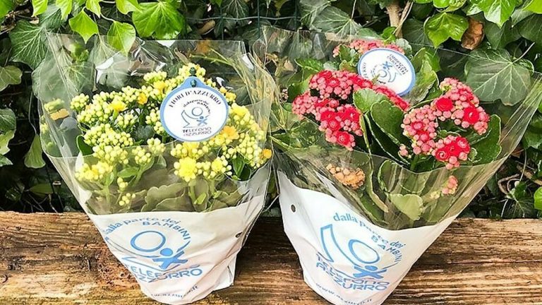 Torna Telefono Azzurro in 1.700 piazze d’Italia per la ripartenza del Paese