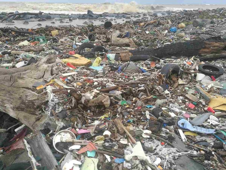 E’ partita questa mattina dal lungomare della Salute di Isola Sacra la pulizia dei rifiuti sulle spiagge comunali dei 24 chilometri di costa