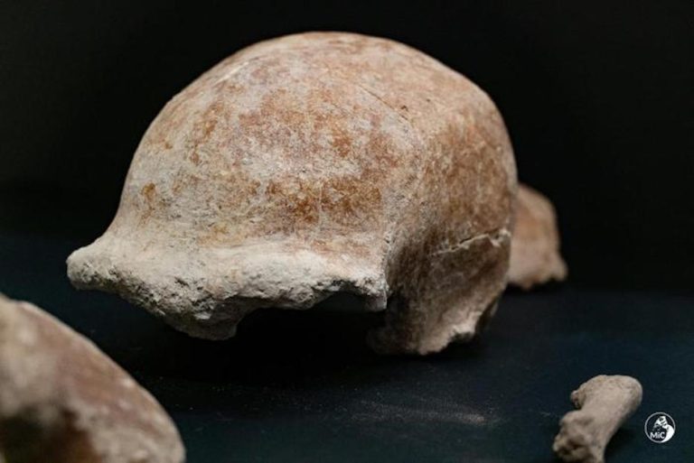 Circeo: eccezionale rinvenimento di 9 resti di uomini di Neanderthal vissuti tra 50-60mila anni fa