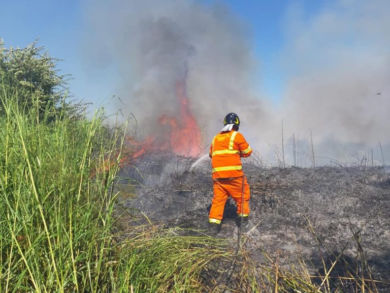 Un’estate piena di impegni per la Protezione Civile comunale di Cerveteri