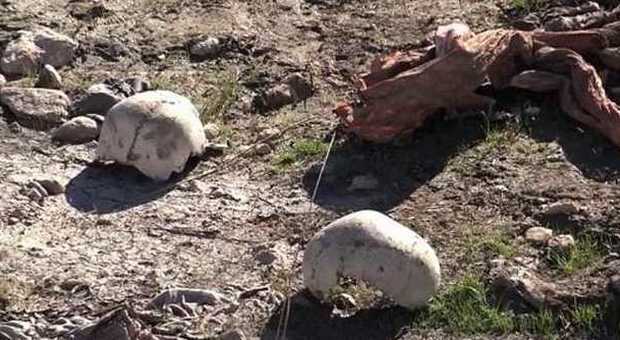 Iraq, a Mosul rinvenuta una fossa comune con i resti di 120 corpi