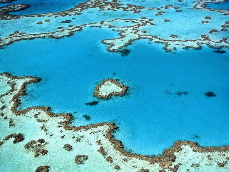 Allarme dell’Unesco: La grande barriera corallina dell’Australia è in pericolo