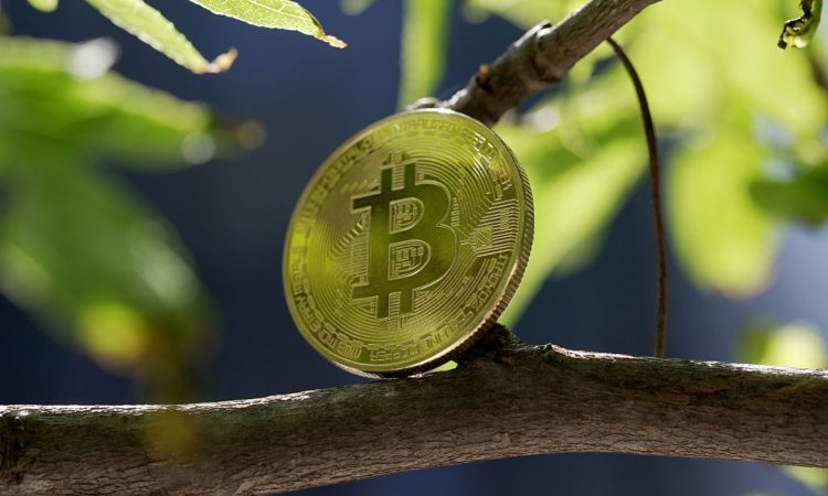 Il Salvador è il primo Paese al mondo ad approvare i bitcoin